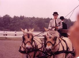 Ted_in_Horse_Show-resized-600