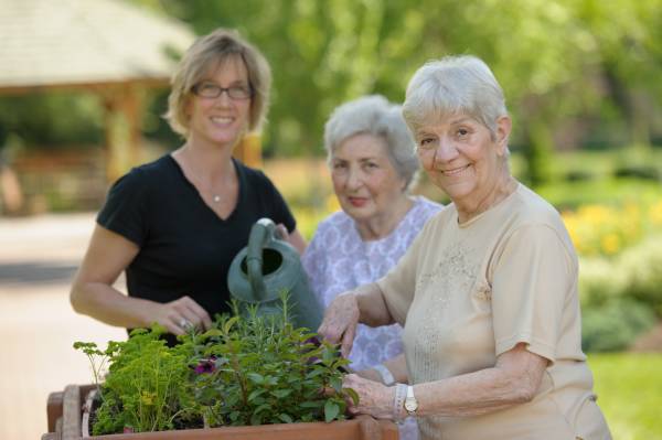 Assisted Living Communities Celebrate World Environment Day