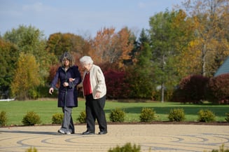 Fall Walks with Seniors