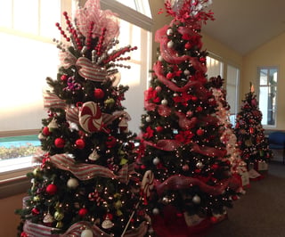 Festival of Trees at Wesley Village